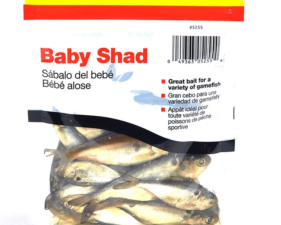 Magic Preserved Shad 4oz Natural - POS - The Sportsman's Exchange