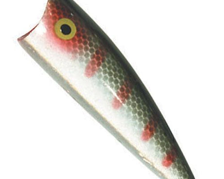 Rebel Pop-R Plus Green Perch S - The Sportsman's Exchange